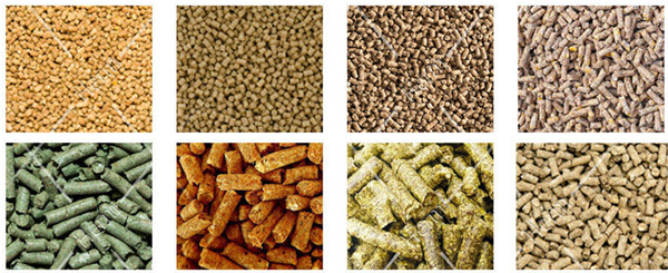 5-7ton-per-hour-animal-feed-pellet-line