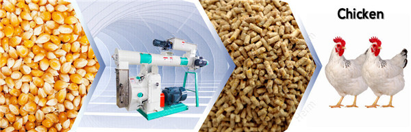 What_Are_the_Precautions_in_Using_Animal_Feed_Processing_Machine (1)