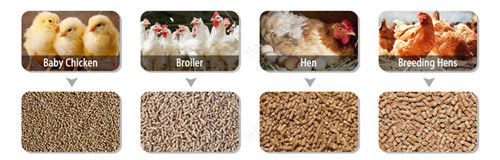 chicken_feed_mill_machine (2)