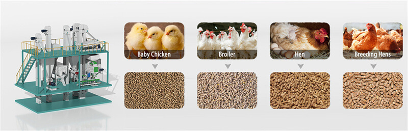 chicken_feed_production_line_for_sale