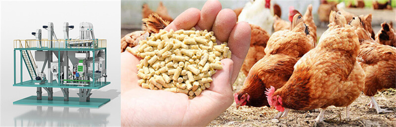 chicken_feed_production_machine