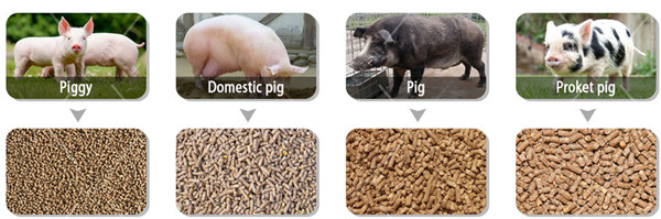 pig_feed_mill_production_line_manufacturer