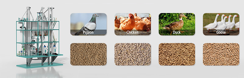 poultry_feed_pellet_machine