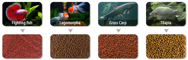 wet_typefloating_fish_feed_machine_supplier