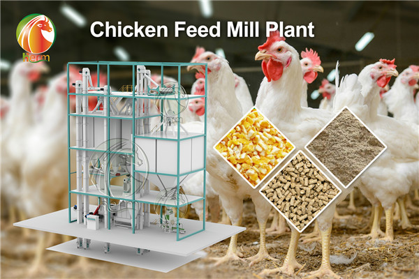 How_to_Effectively_Improve_the_Quality_of_Feed_by_Improving_the_Production_Process (12)