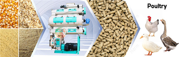 pellet_mill_machine_supplier