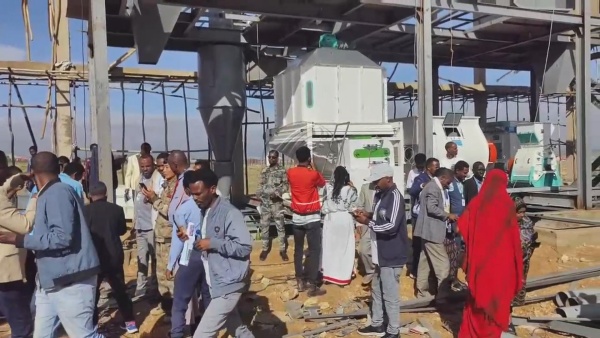 Starting_a_Cattle_Feed_Making_Factory_in_Ethiopia 6