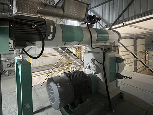 feed_pellet_mill_machine 11