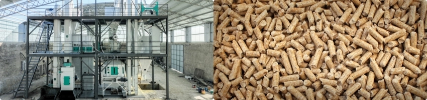 5TH_vs_10TH_Feed_Plant_Cost_Comparison 4