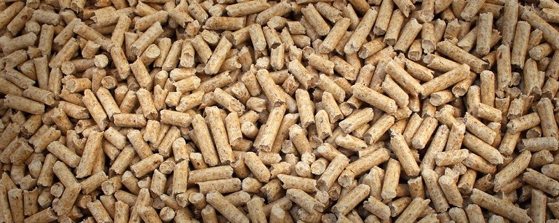 Top_Animal_Feed_Companies_in_Algeria 2