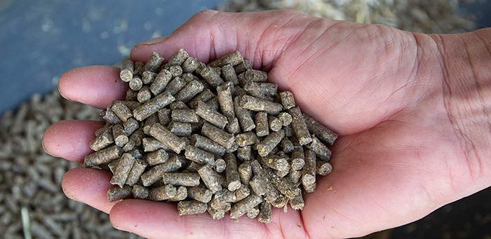 feed_mill_investment_cost_in_algeria 2