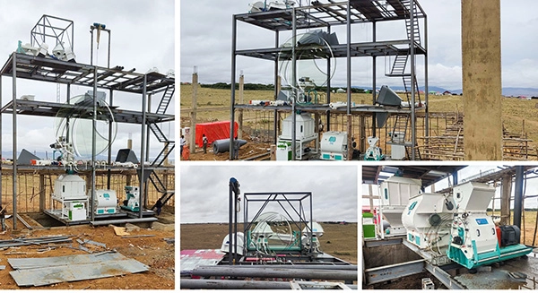 feed_mill_investment_cost_in_algeria 3