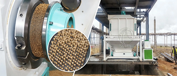 feed_mill_investment_cost_in_algeria 6